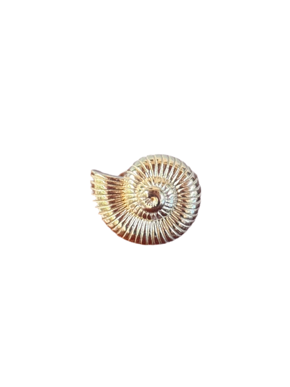 Caracole Ring